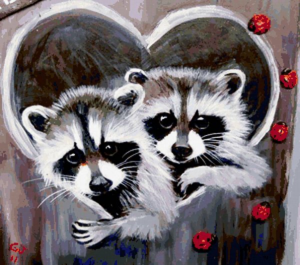 Енот гуашью