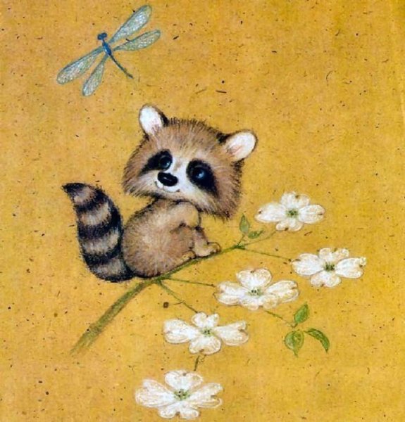 Нарисовать милого енота