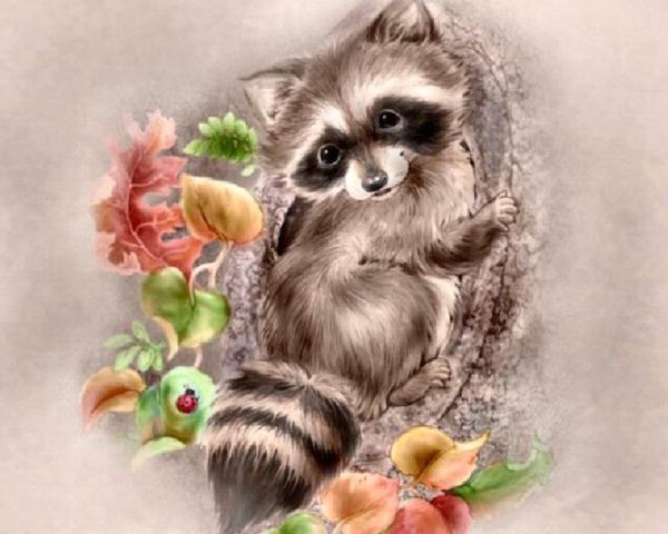 Милый Енотик рисунок