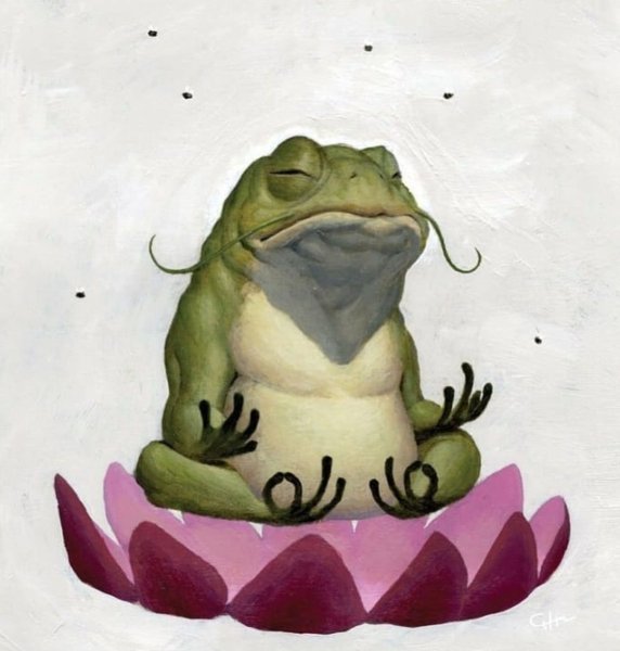 Лягушка Бобби