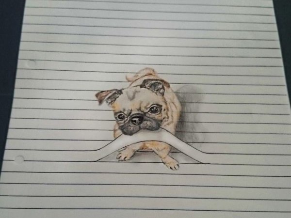 Панда рисунок карандашом милый