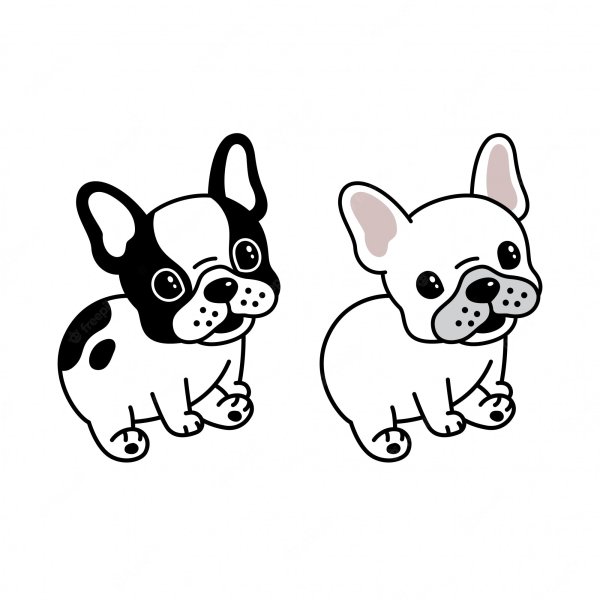 Раскраска французский бульдог для детей