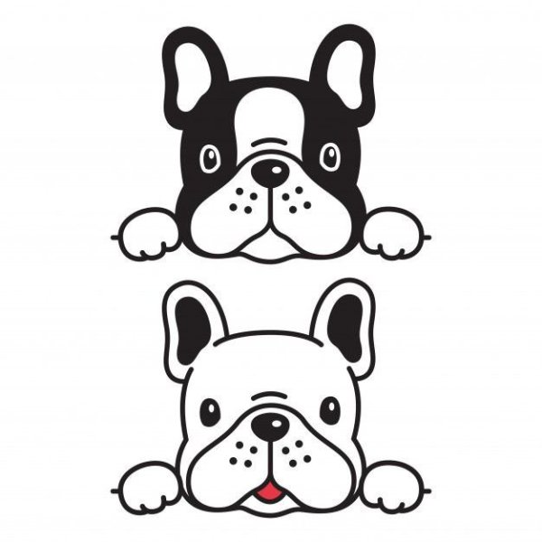 Французский бульдог для детей для раскрашивания