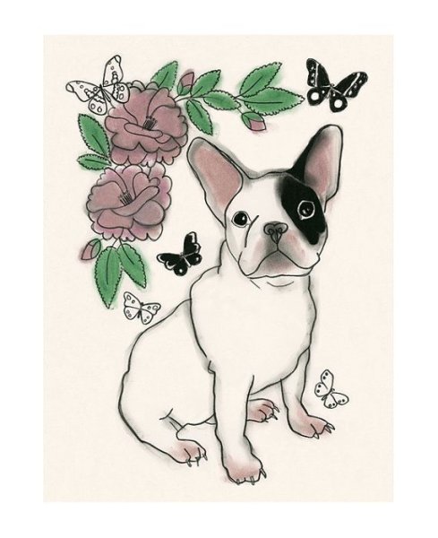 Рисунки для срисовки французский бульдог