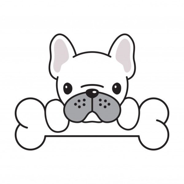 Французский бульдог вектор