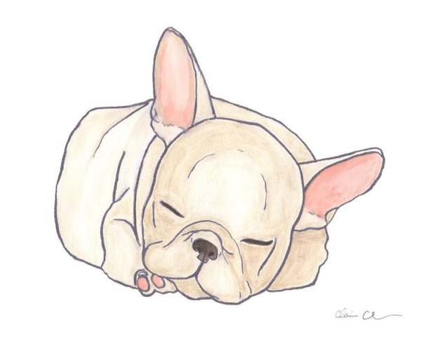 Рисунки для срисовки милые бульдожки