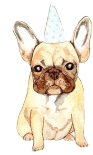 Французский бульдог мультяшка