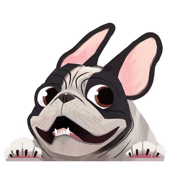 Французский бульдог арт