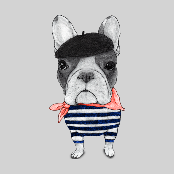 Значок «французский бульдог»