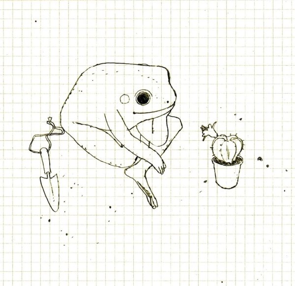 Скетч лягушка милая