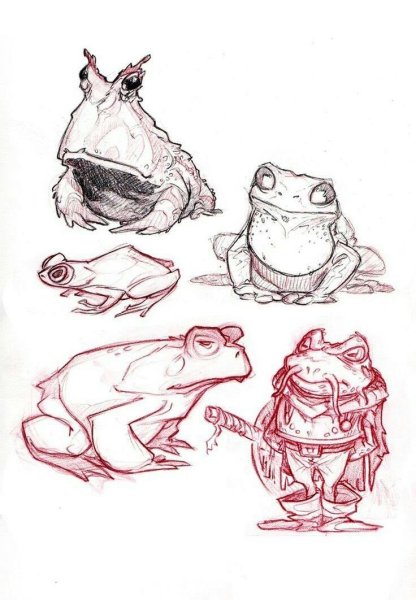 Лягушка набросок