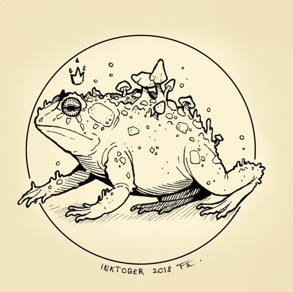 Рисунки лягушек Наброски