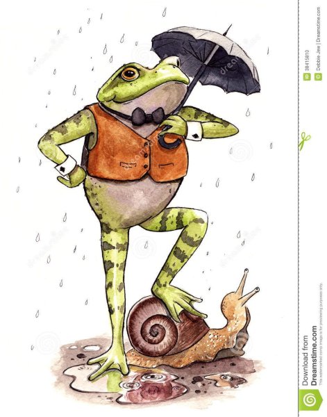 Смешные скетчи лягушка