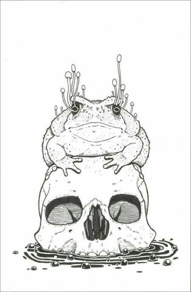 Жабка тату эскиз