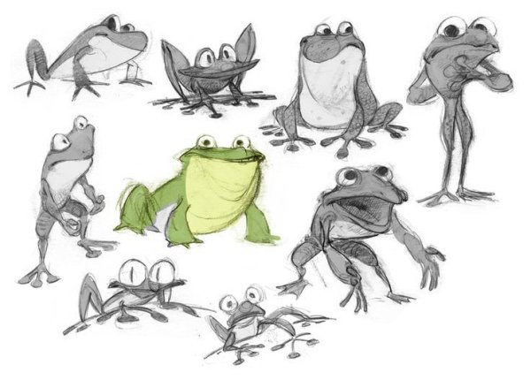 Анатомия лягушки для художников
