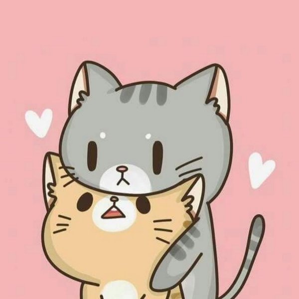 Кавайные котики