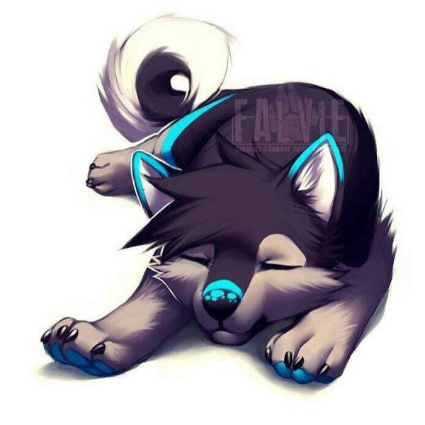 Пушистый волк