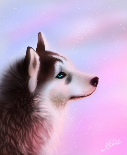 Самый милый волк