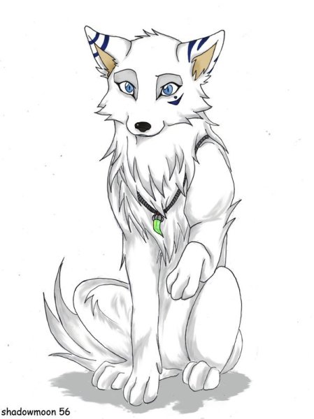 Волк для срисовки