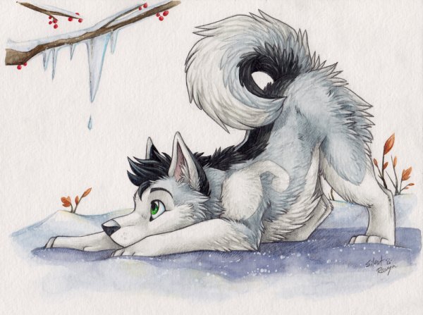 Feral furry хаски