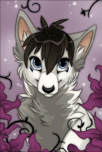 Маленький Волчонок аниме