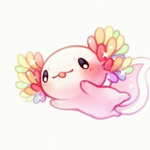 Аксолотль Кавайи