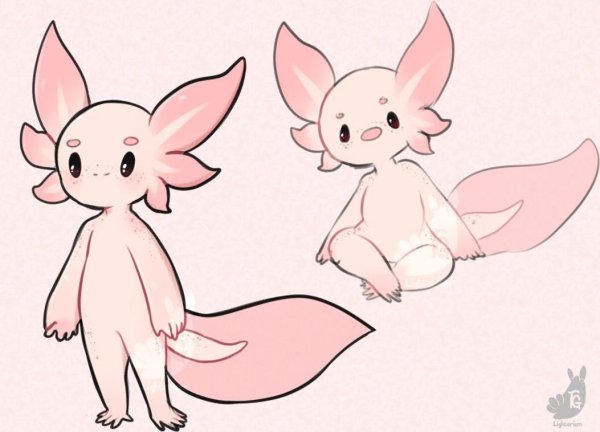 Аксолотль Чиби