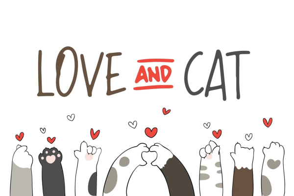 Милая лапка кота рисунок