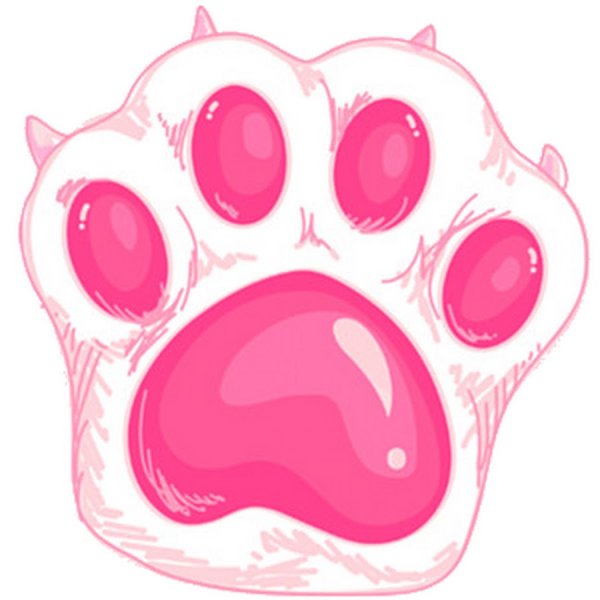 Розовая лапка котика