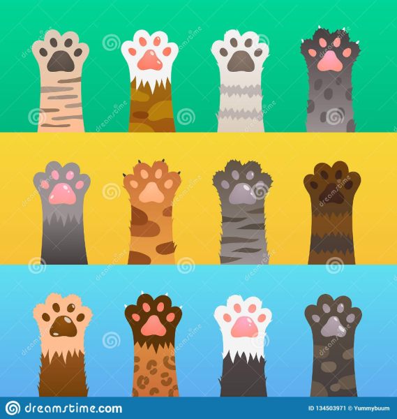 Кошачьи лапки мультяшные