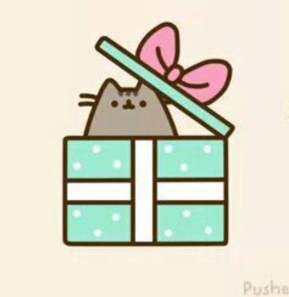 Котик Пушин с подарком