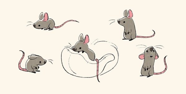 Мышка в разных позах