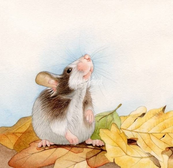 Крыски иллюстрации