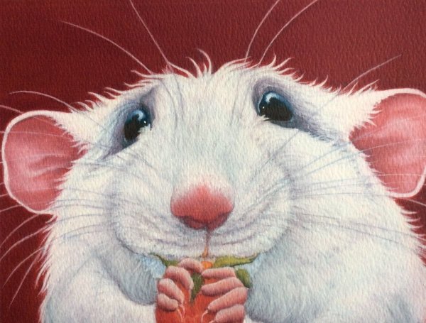 Крыса рисунок