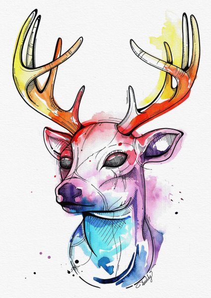 Олень для срисовки