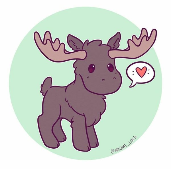 Наоми Лорд олень