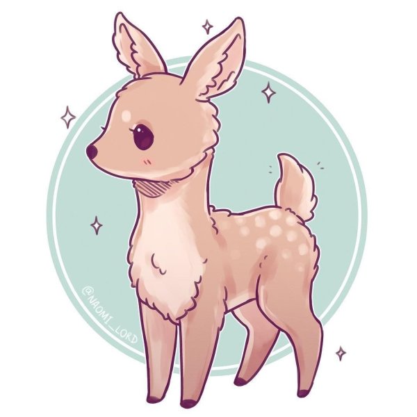 Наоми Лорд лама