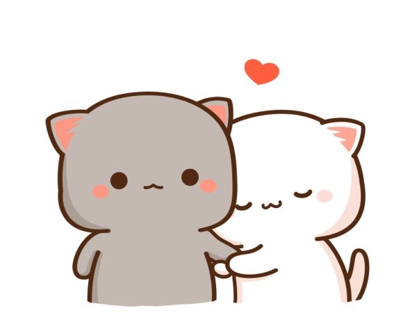 Кавайные котики парочка