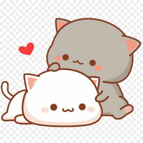 Котики обнимаются