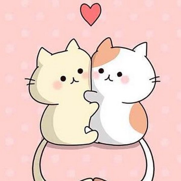 Кавайные котики