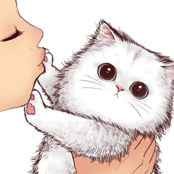 Миленькие котики кавайные