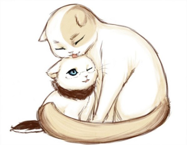 Котики любовь мультяшные