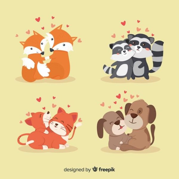 Енот обнимашки