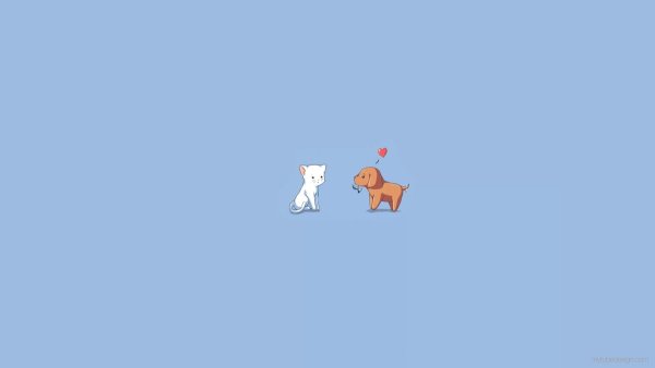 Кот Минимализм рисунок