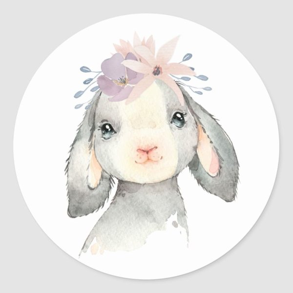 Aida Zamora иллюстрации