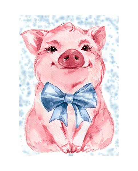 Открытка свинья