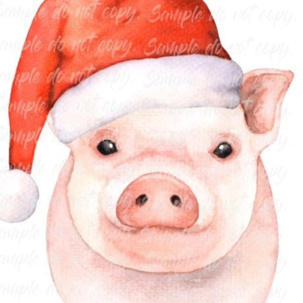 Хрюшка на метрику