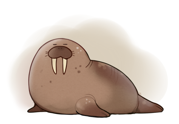 Walrus Моржик