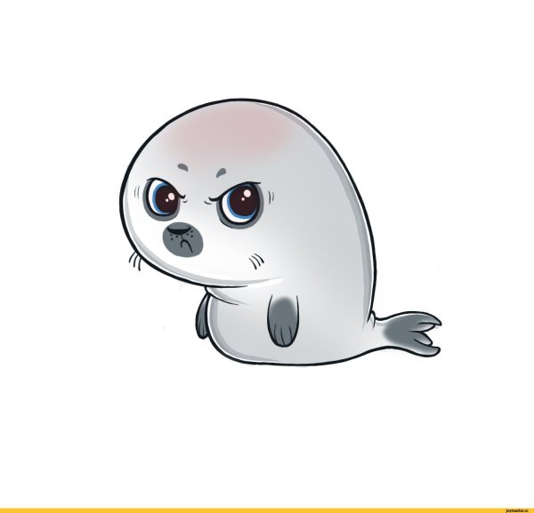 Кавайные морские котики