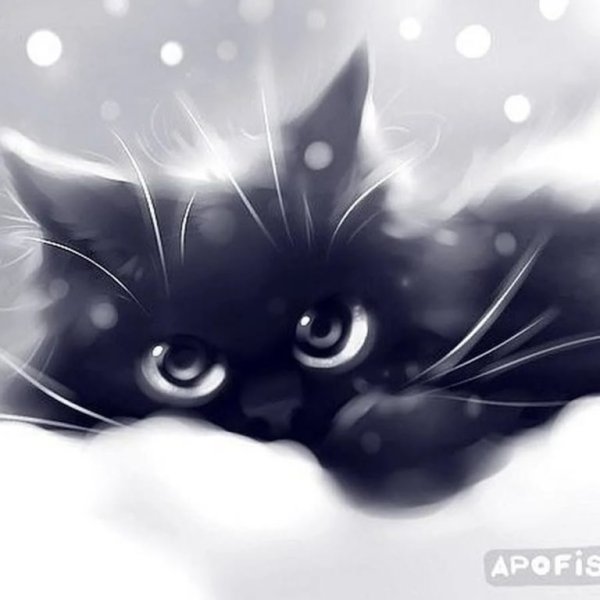 Милый котик черно белый арт